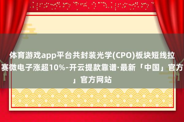 体育游戏app平台共封装光学(CPO)板块短线拉升，赛微电子涨超10%-开云提款靠谱·最新「中国」官方网站